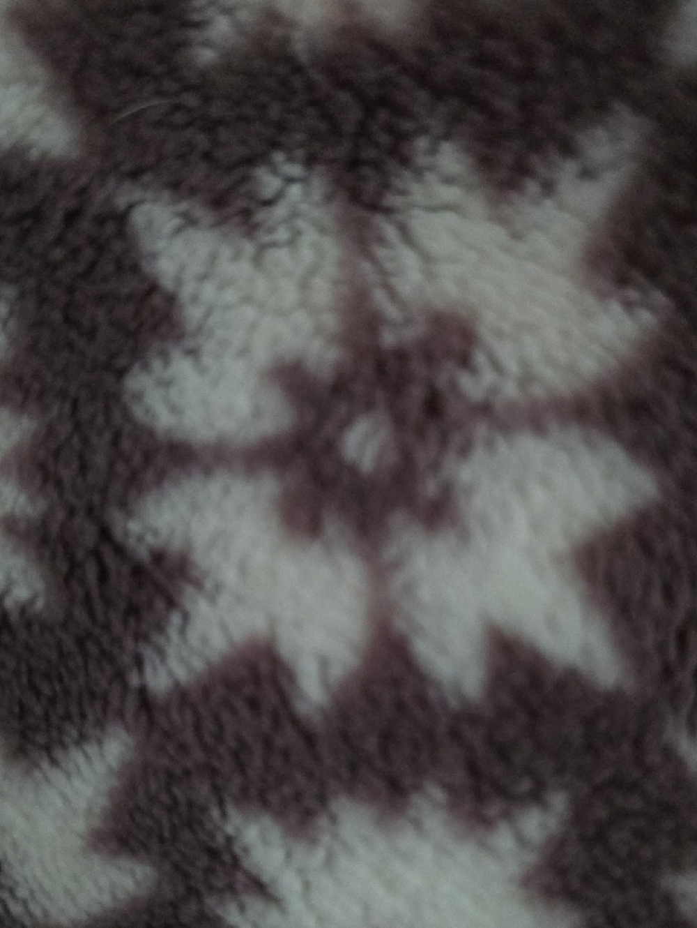 Meet your Posher, Taryn